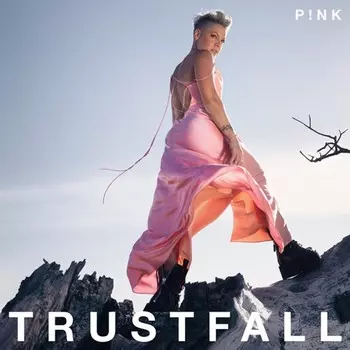Диск CD Trustfall - Pink
