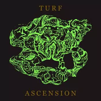 Диск CD Turf Ascension - Bubblemath