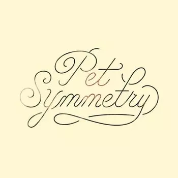 Диск CD Vision - Pet Symmetry