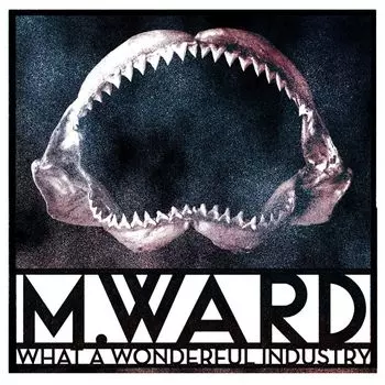 Диск CD What A Wonderful Industry - M. Ward