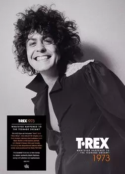 Диск CD Whatever Happened To The Teenage Dream? [Box Set] - T. Rex