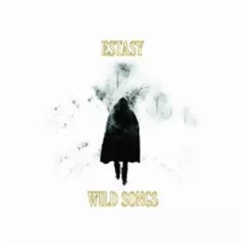 Диск CD Wild Songs - Estasy