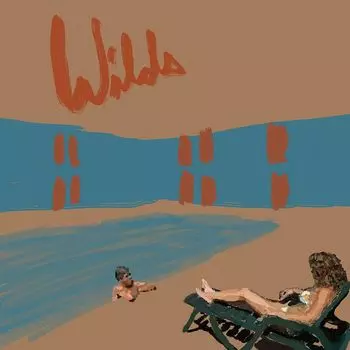 Диск CD Wilds - Andy Shauf