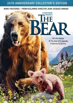 Диск DVD Bear