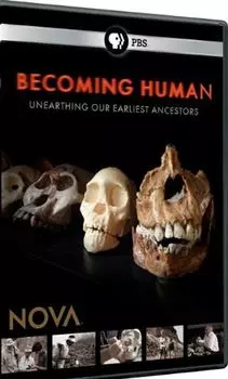 Диск DVD Becoming Human