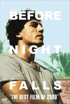 Диск DVD Before Night Falls