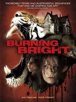 Диск DVD Burning Bright