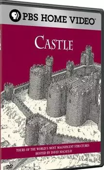 Диск DVD Castle