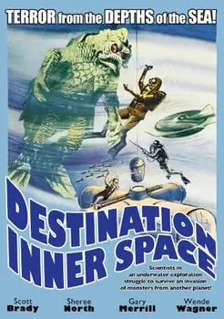 Диск DVD Destination Inner Space