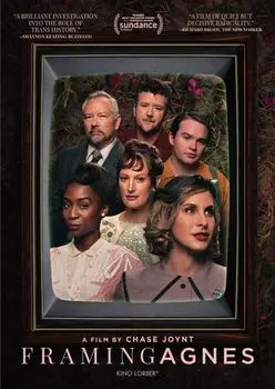 Диск DVD Framing Agnes [2022]
