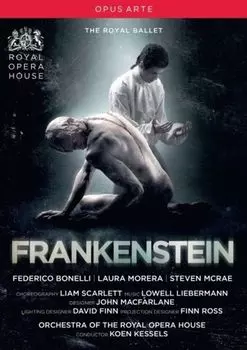 Диск DVD Frankenstein