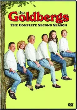 Диск DVD Goldbergs: Season 2