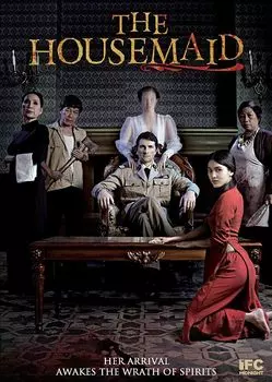 Диск DVD Housemaid (2016)