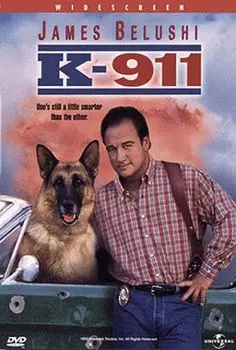 Диск DVD K-911