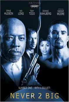 Диск DVD Never 2 Big