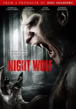 Диск DVD Night Wolf