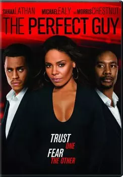 Диск DVD Perfect Guy