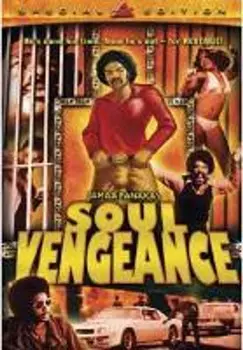 Диск DVD Soul Vengeance