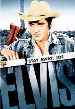 Диск DVD Stay Away Joe