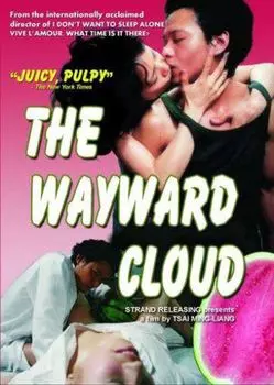 Диск DVD Wayward Cloud
