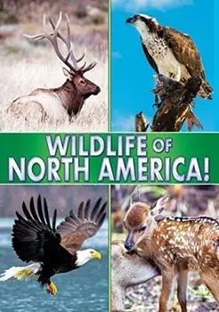 Диск DVD Wildlife Of North America