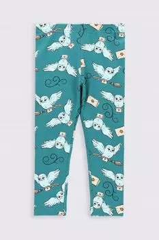 Длинные леггинсы Coccodrillo Harry Potter, зеленый