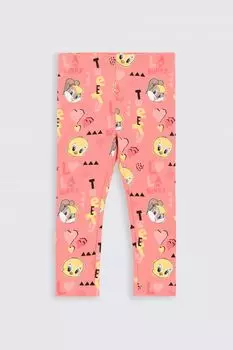 Длинные леггинсы Coccodrillo Looney Tunes, коралловый