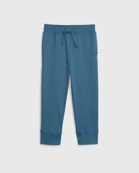 Длинные штаны для мальчика Gap, синий