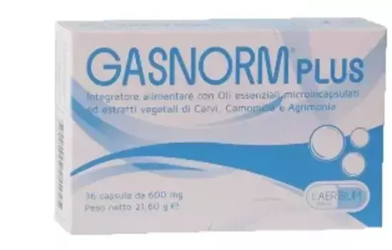 Добавка GasNorm Plus 36 капсул