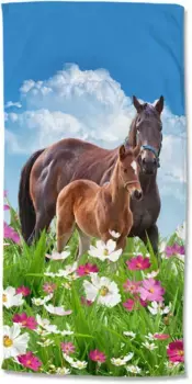 Доброе утро, пляжное полотенце "Дора", (1 шт.), быстро сохнет Good morning 75х150 см (1 шт.), цвет Multi