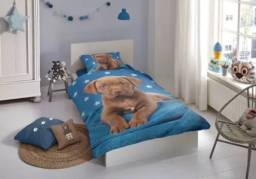 Доброе утро, постельное белье Renforce, пододеяльник, 2 предмета, 140 x 220 см, наволочка 60 x 70 см, Pup 6604.99.01 Мульти Muller Textil