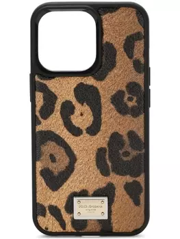 Dolce & Gabbana чехол для iPhone 13 с леопардовым принтом, коричневый
