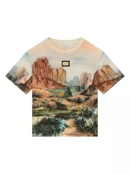 Dolce & Gabbana футболка с графичным принтом, мультиколор