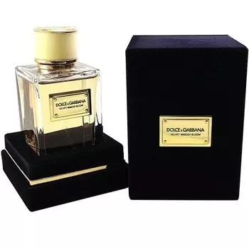 Dolce & Gabbana Парфюмированная вода Velvet Mimosa Bloom для Нее