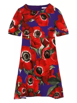 Dolce & Gabbana платье миди с принтом Anemone, фиолетовый