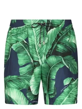 Dolce & Gabbana плавки-шорты с принтом Banana Leaf, зеленый