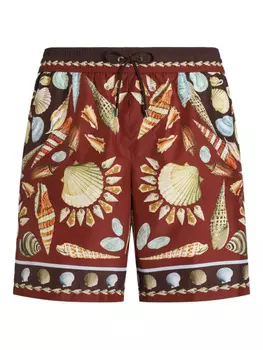 Dolce & Gabbana плавки-шорты с принтом, коричневый