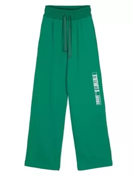 Dolce & Gabbana спортивные брюки с принтом DGVIB3, зеленый