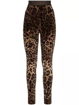 Dolce & Gabbana жаккардовые легинсы с леопардовым принтом, коричневый
