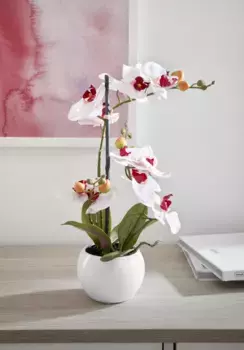 Домашнее дело искусственная орхидея "Эрнестина", искусственное растение, в горшке Home affaire 42 см, розовый