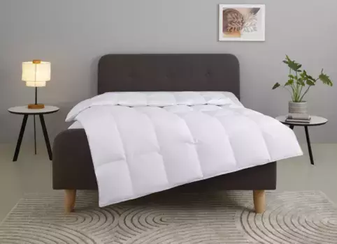 Домашнее пуховое одеяло "Литрон Home affaire 135х200 см, белый