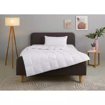 Домашнее пуховое одеяло + подушка "Одеяло Litrone 135х200 см, 155х220 см", (экономный комплект, 2 шт.), комплект с подушками 40х80 см, 80х80 см, весна, лето, осень, зима Home Affaire, белый