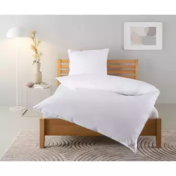 Домашнее пуховое одеяло + подушка» Воздушная кровать Trin duvet 135х200 см, 155х220 см», (экономный комплект), комплект с подушками 40х80 см, 80х80 см, осень, зима Home Affaire, белый