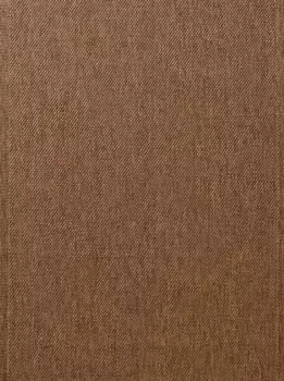 Домашний ковер Heine, прямоугольный Heine home 160х230 см, цвет honig