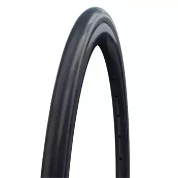 Дорожная шина Schwalbe One 365 4Season RaceGuard 700C x 25, серебряный