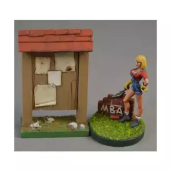 Доска объявлений (окрашенная), Castle Accessories (25mm)