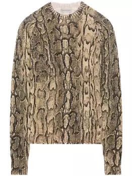 DRIES VAN NOTEN джемпер с принтом, нейтральный цвет
