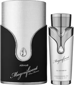 Духи Armaf Magnificent Pour Homme