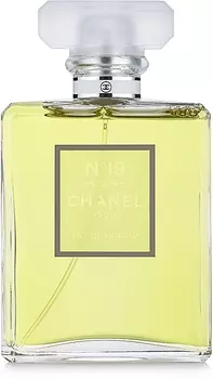 Парфюмированная вода Chanel N19 Poudr, 100 мл