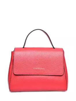 Двухцветная кожаная сумка Luisa Vannini, мультиколор